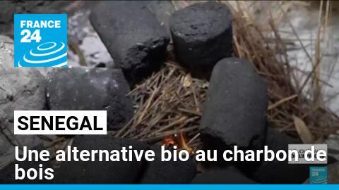 Sénégal : le bio-charbon, un fioul vert pour protéger les forêts